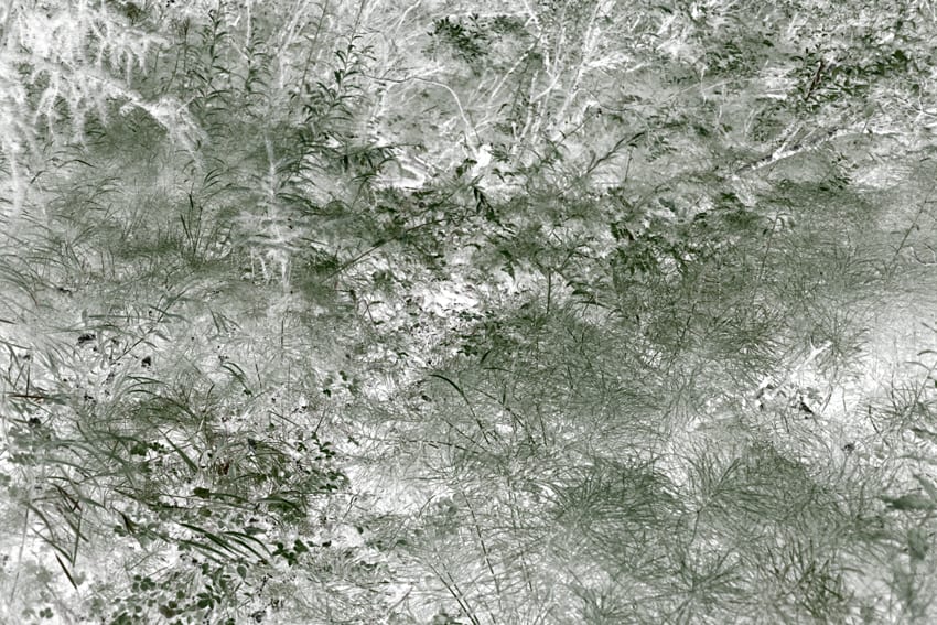 Maciej Urbanek, Volatile Matters IV