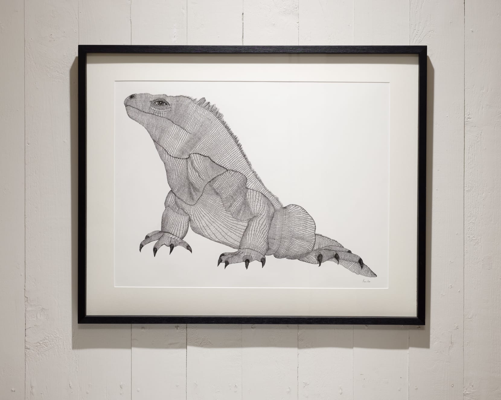 Irene Lees, Iguana
