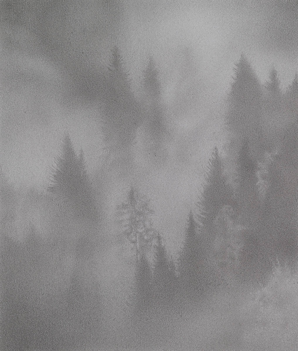 Adam Bainbridge, Edge, 2017