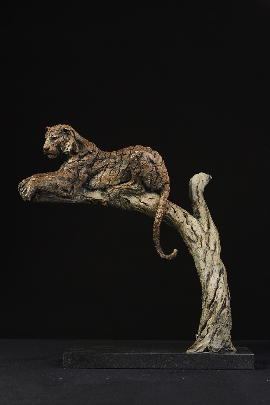 Hamish Mackie, Tiger in Tree, 2016