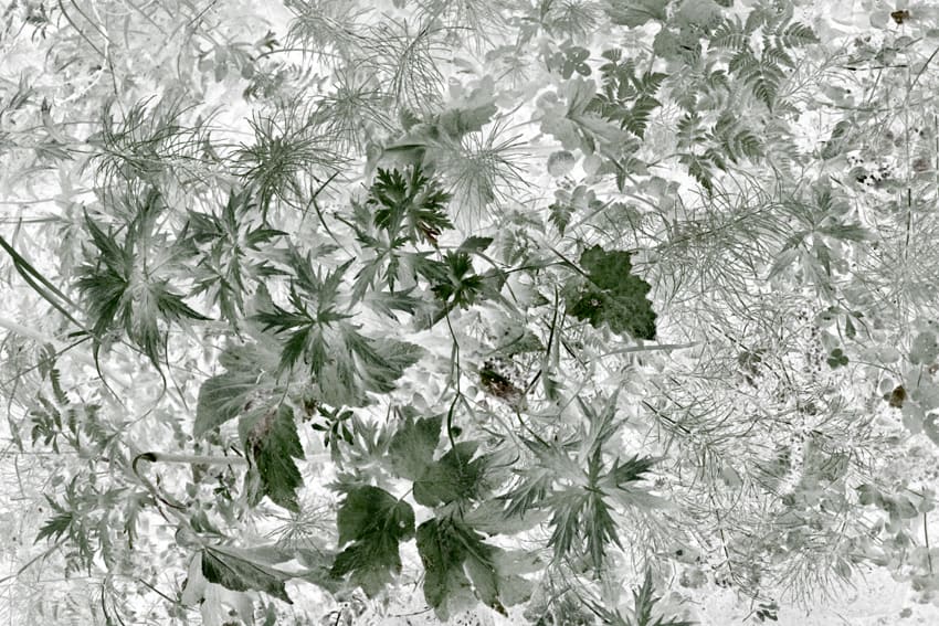 Maciej Urbanek, Volatile Matters V