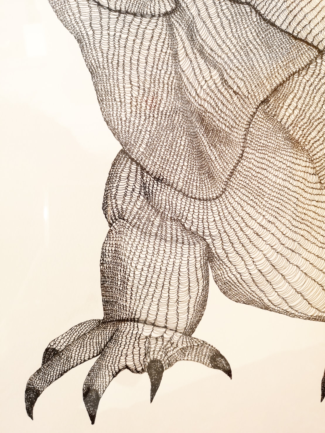 Irene Lees, Iguana