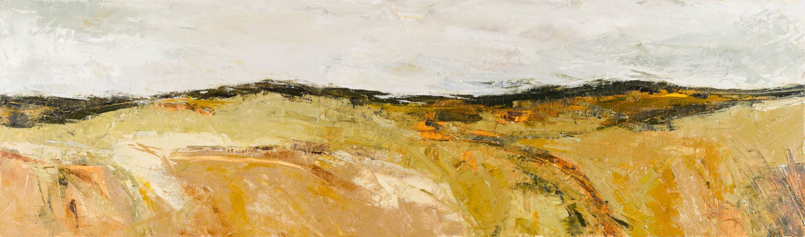 Polly Dutton, Bowling a Maiden, 2017