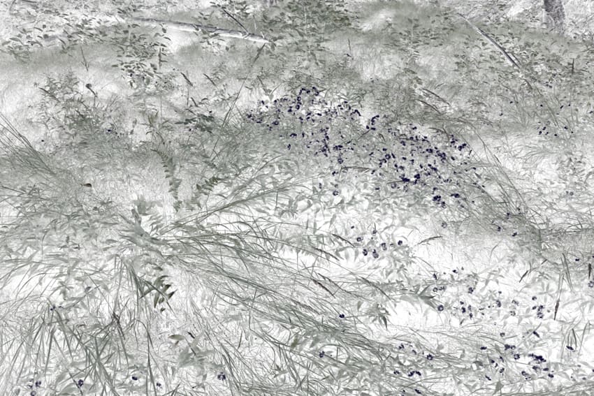 Maciej Urbanek, Volatile Matters III