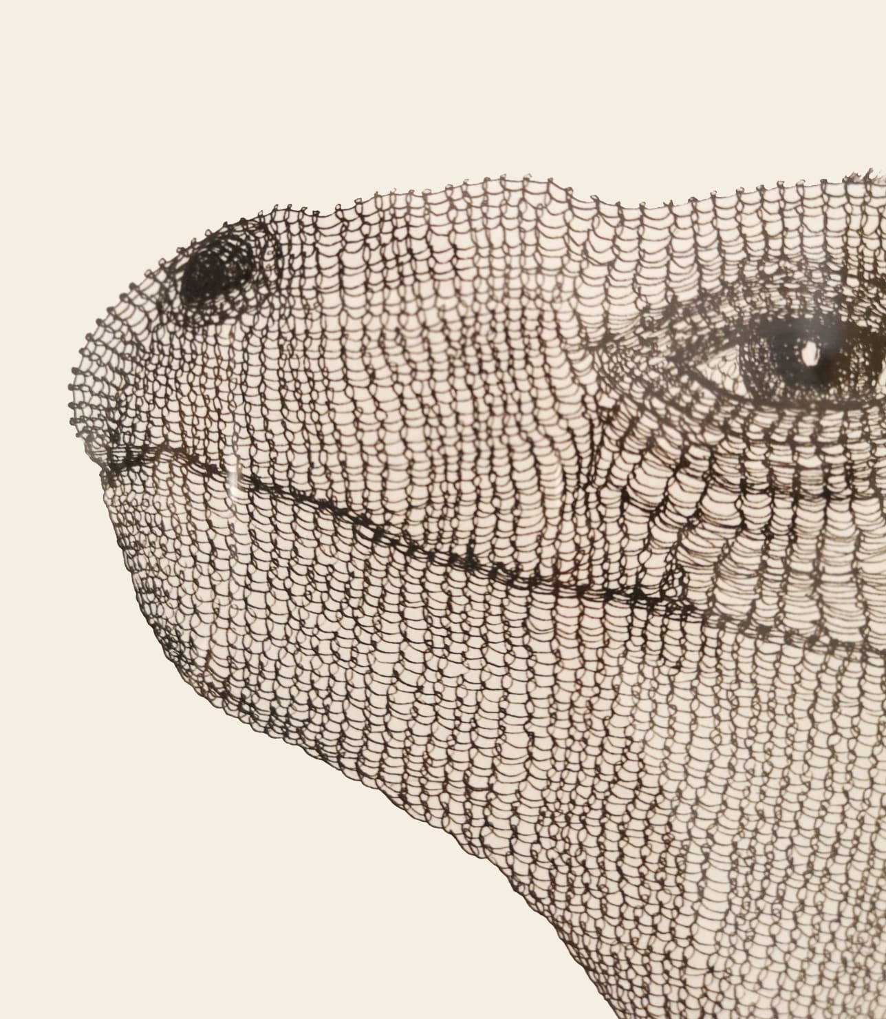 Irene Lees, Iguana