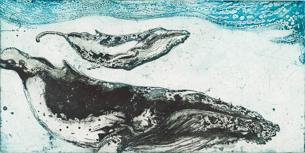 Marion MacPhee, Humpback and Calf, 2013