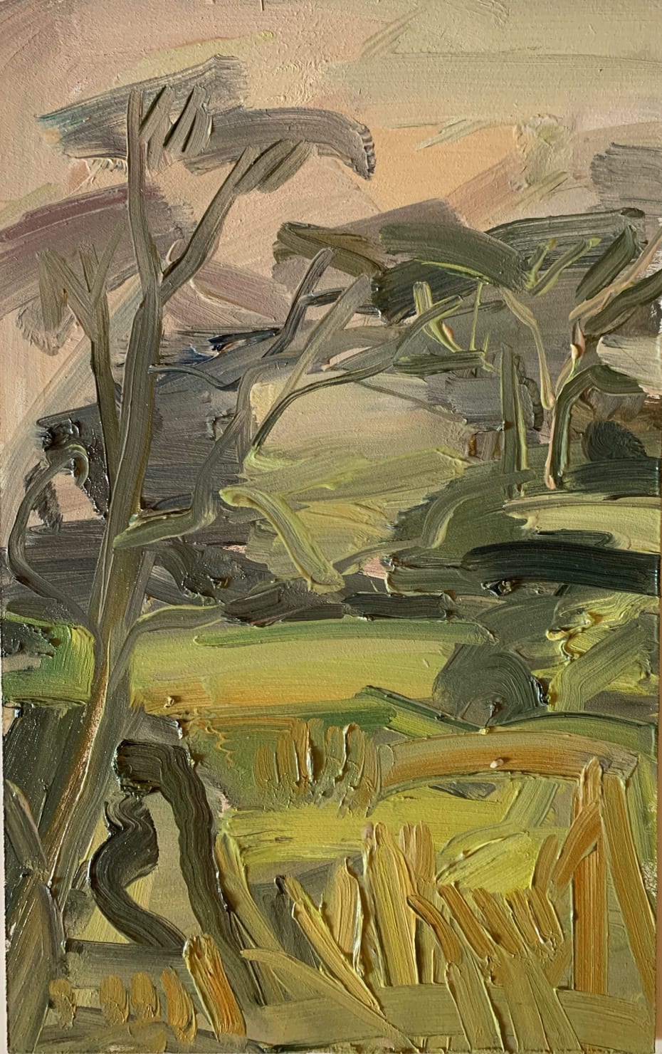 Lindy Guinness, Trees in Conversation, Clandeboye Forest