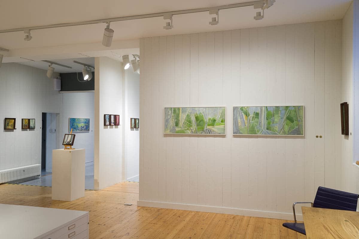 Lindy Guinness, Entangled Space, Music Room, Clandeboye, 2020