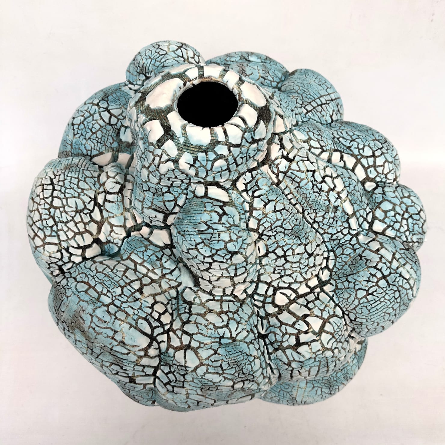 Oriel Zinaburg, CORAL # 904, 2022