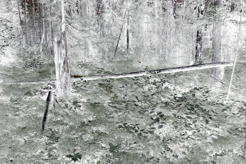 Maciej Urbanek, Volatile Matters XII