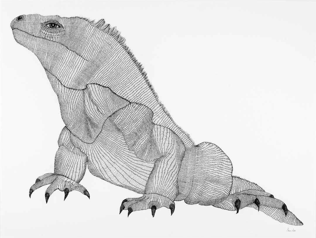 Irene Lees, Iguana