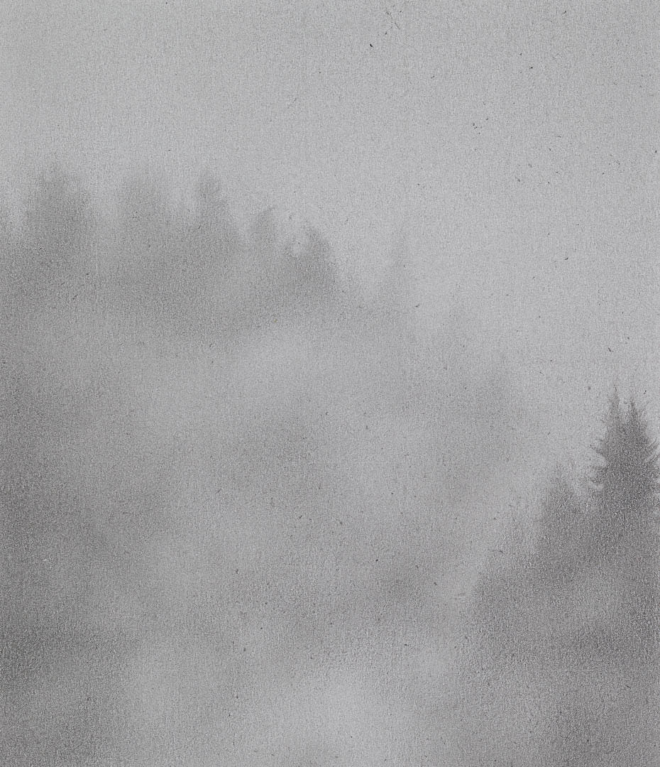 Adam Bainbridge, Trace, 2017