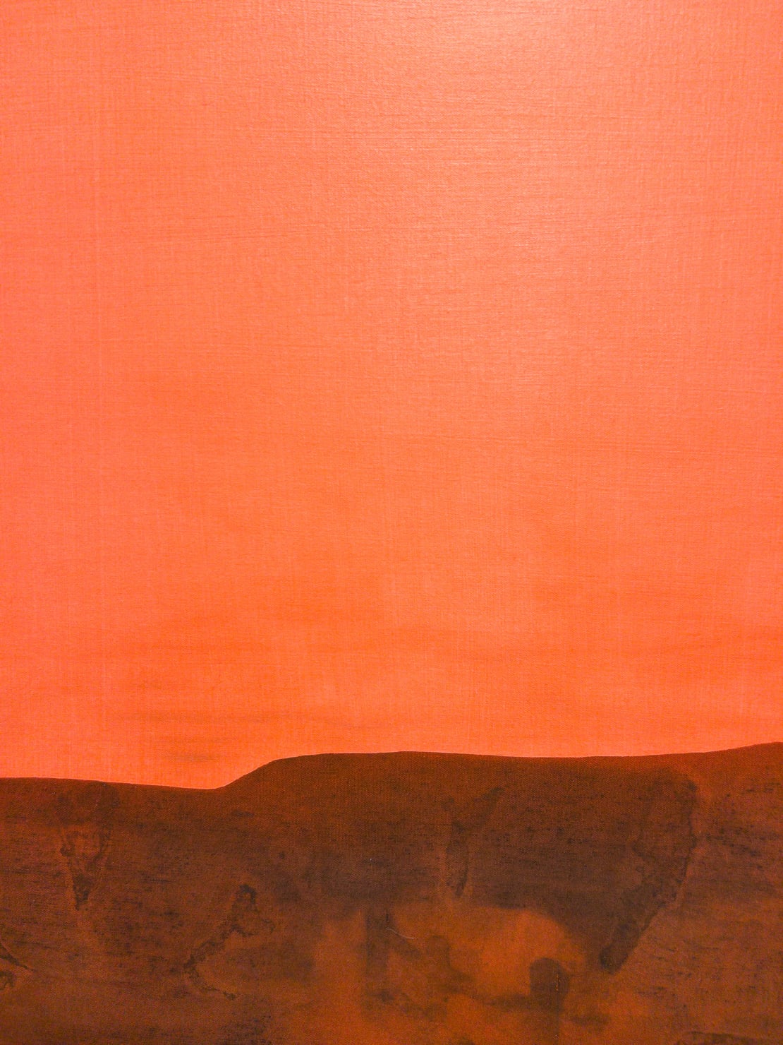 Kerry Harding, Raised softly to crimson sky, 2024