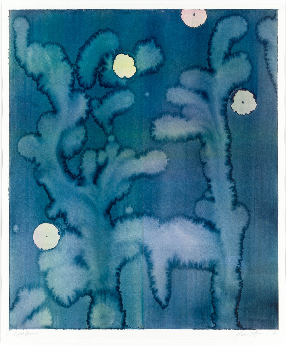 Julian Brown, Night Bloom, 2018
