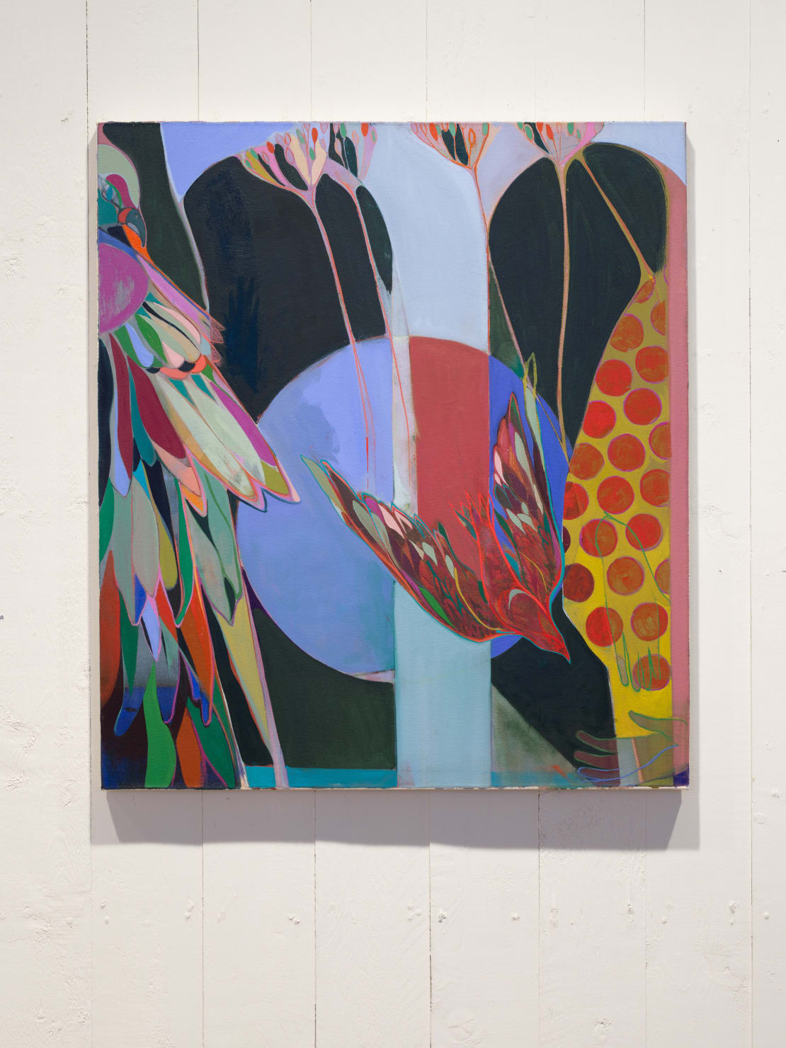 Charlotte Evans, Dart, 2024