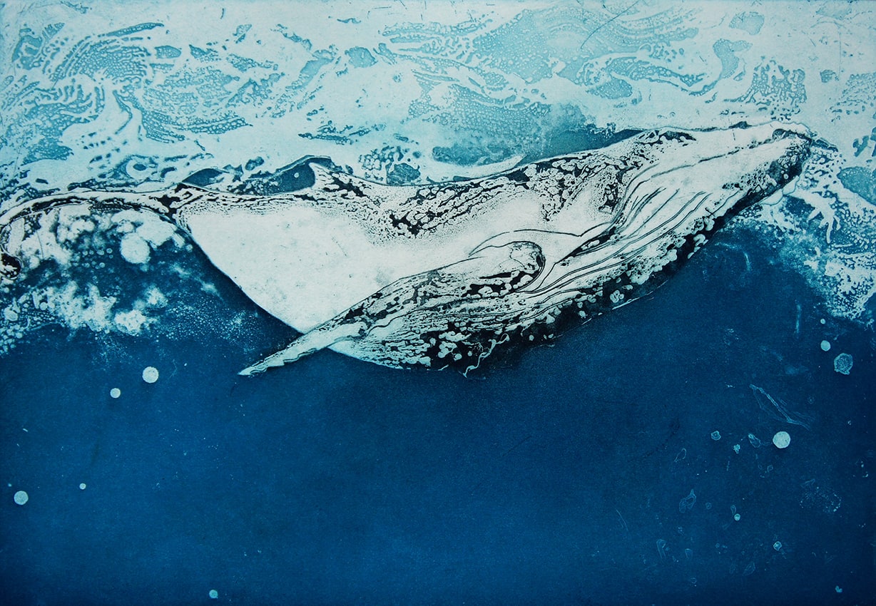 Marion MacPhee, Whale Calf, 2017
