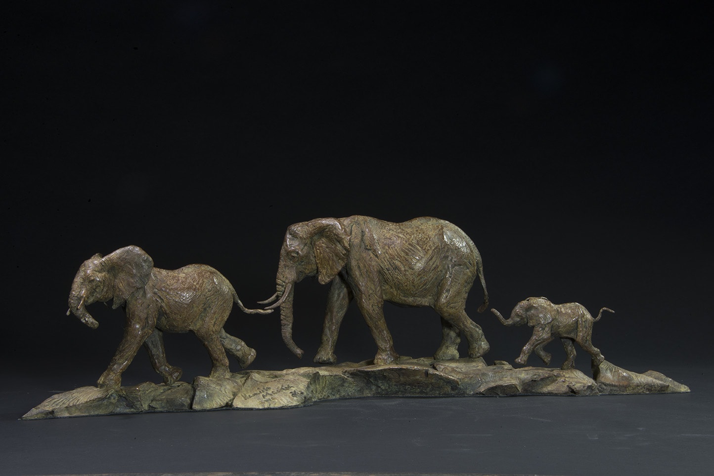 Hamish Mackie, Elephants, 2016