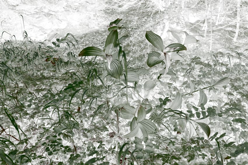 Maciej Urbanek, Volatile Matters II