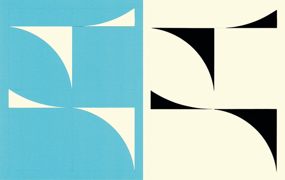 Richard Caldicott, Photogram/Paper negative (Unique)