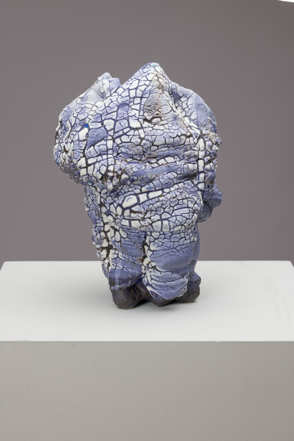 Oriel Zinaburg, Coral # 903, 2022