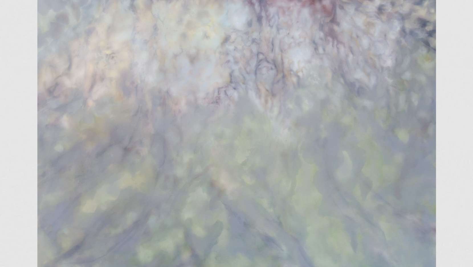 Sonya Derviz: Near and Far