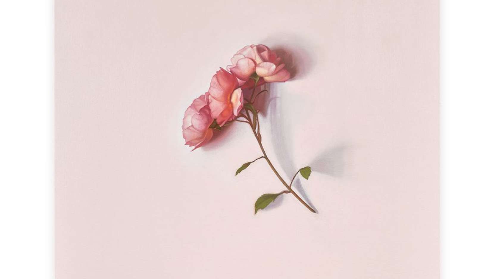 Alison Watt