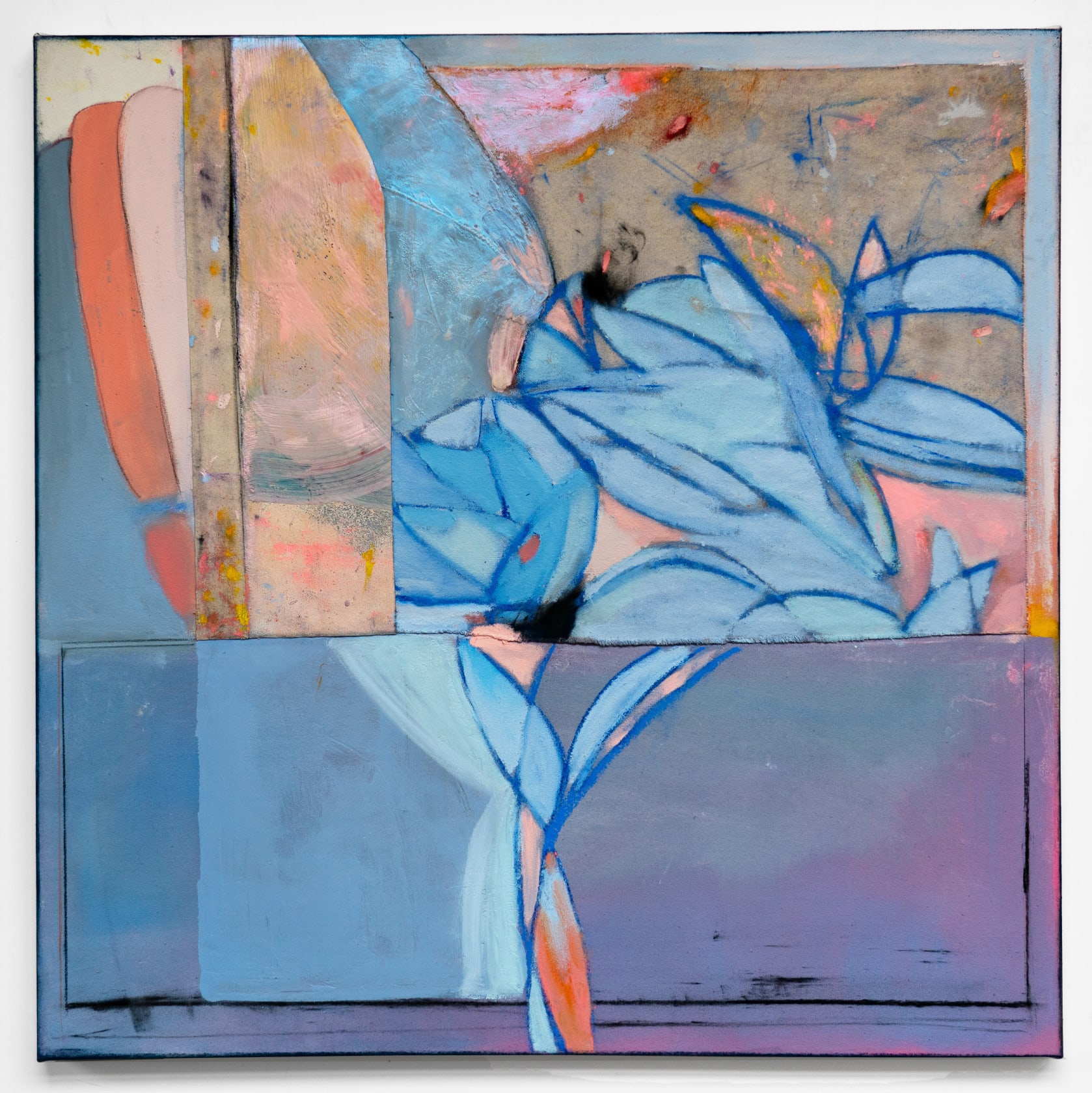 Dana James, Miss Mischief, 2025