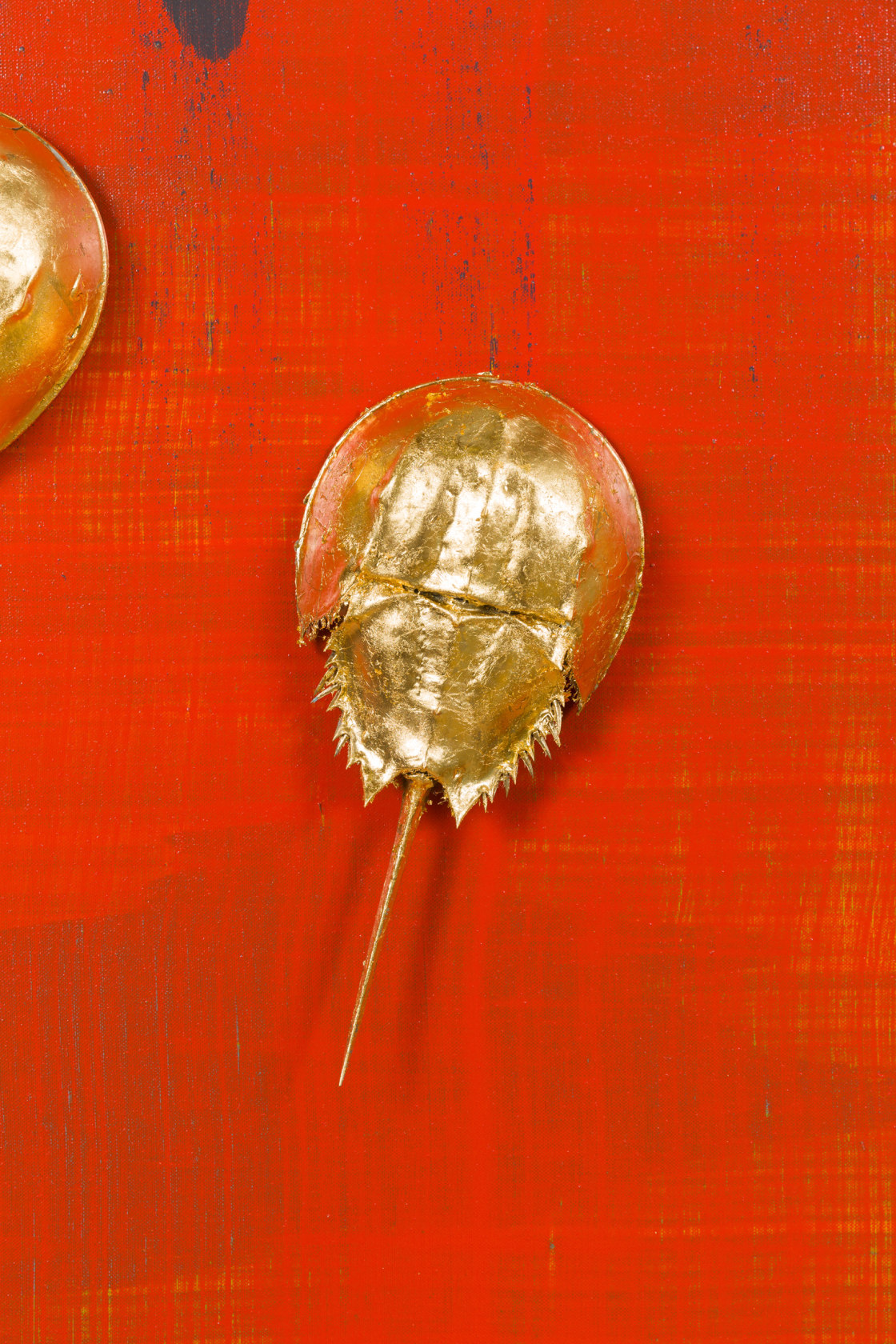 John Knuth, Fire Season, 2023