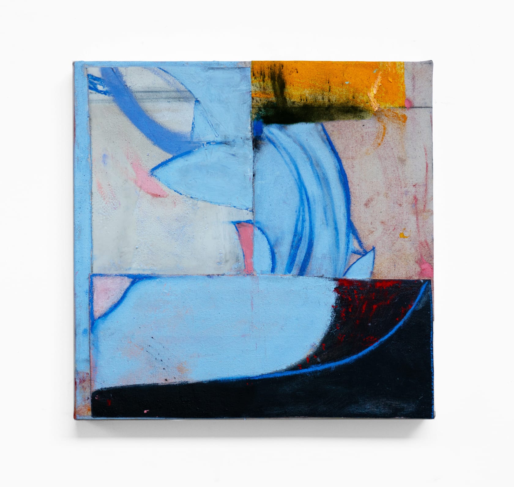 Dana James, Wild Flower, 2025