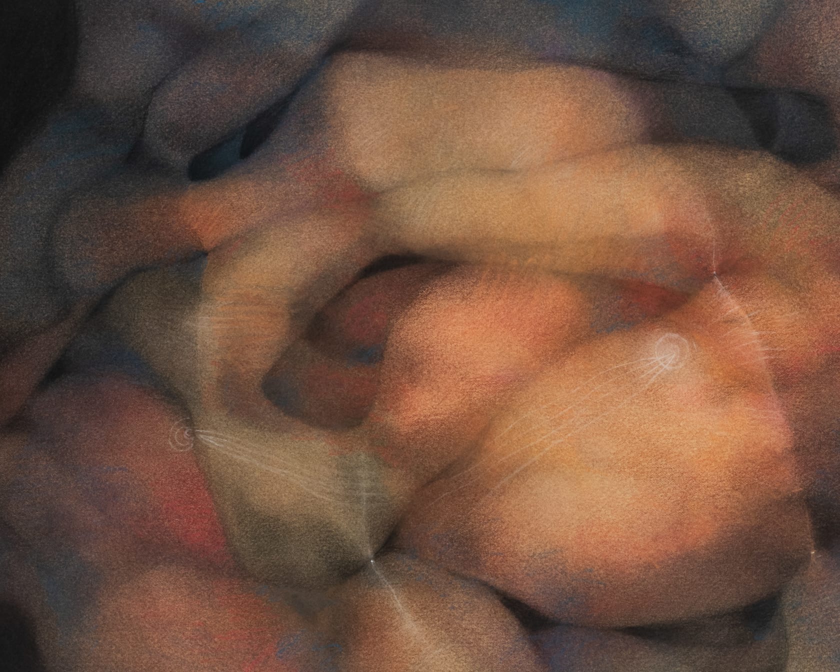 Rafael Soriano, Untitled, n.d.