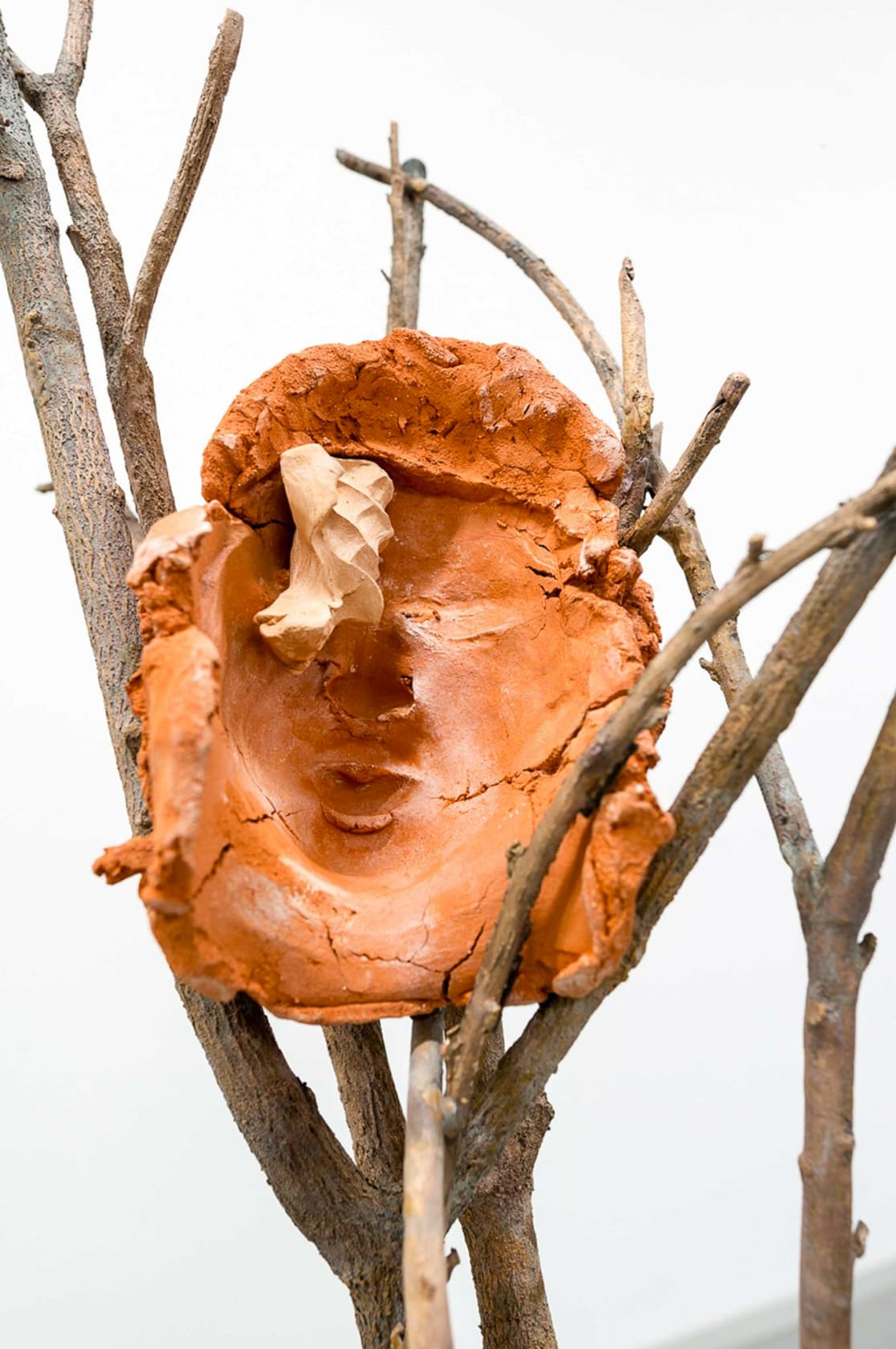 Giuseppe Penone Terra su terra - Volto (Earth on Earth - Face), 2014