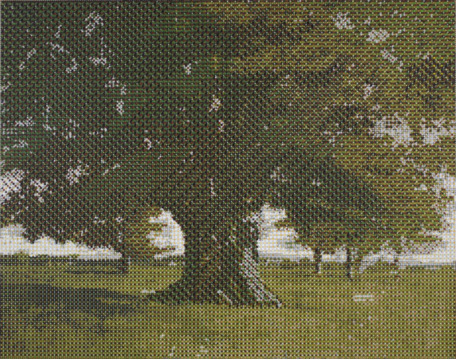 Gabriel Orozco, Courbet's Oak Tree, 2011