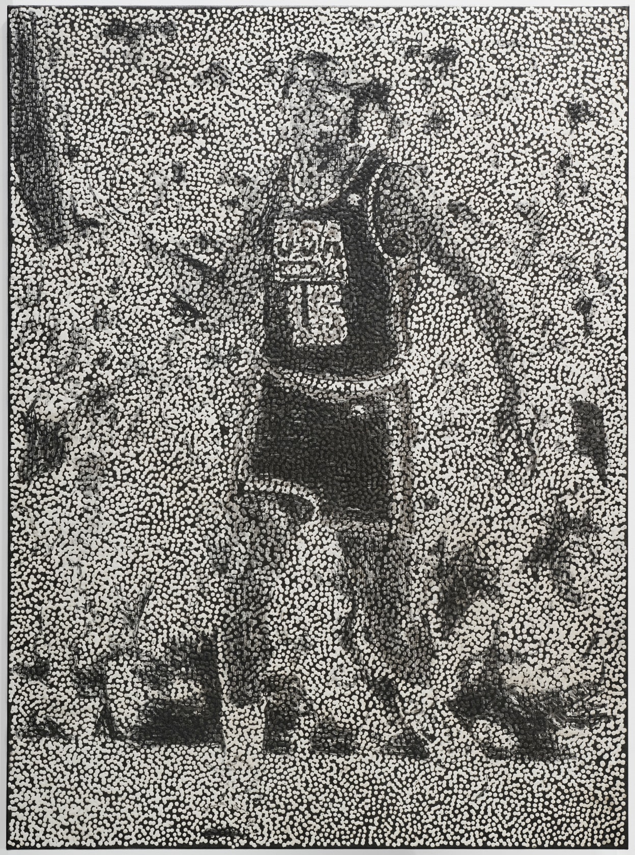 Daniel Boyd, Untitled (DTST), 2024