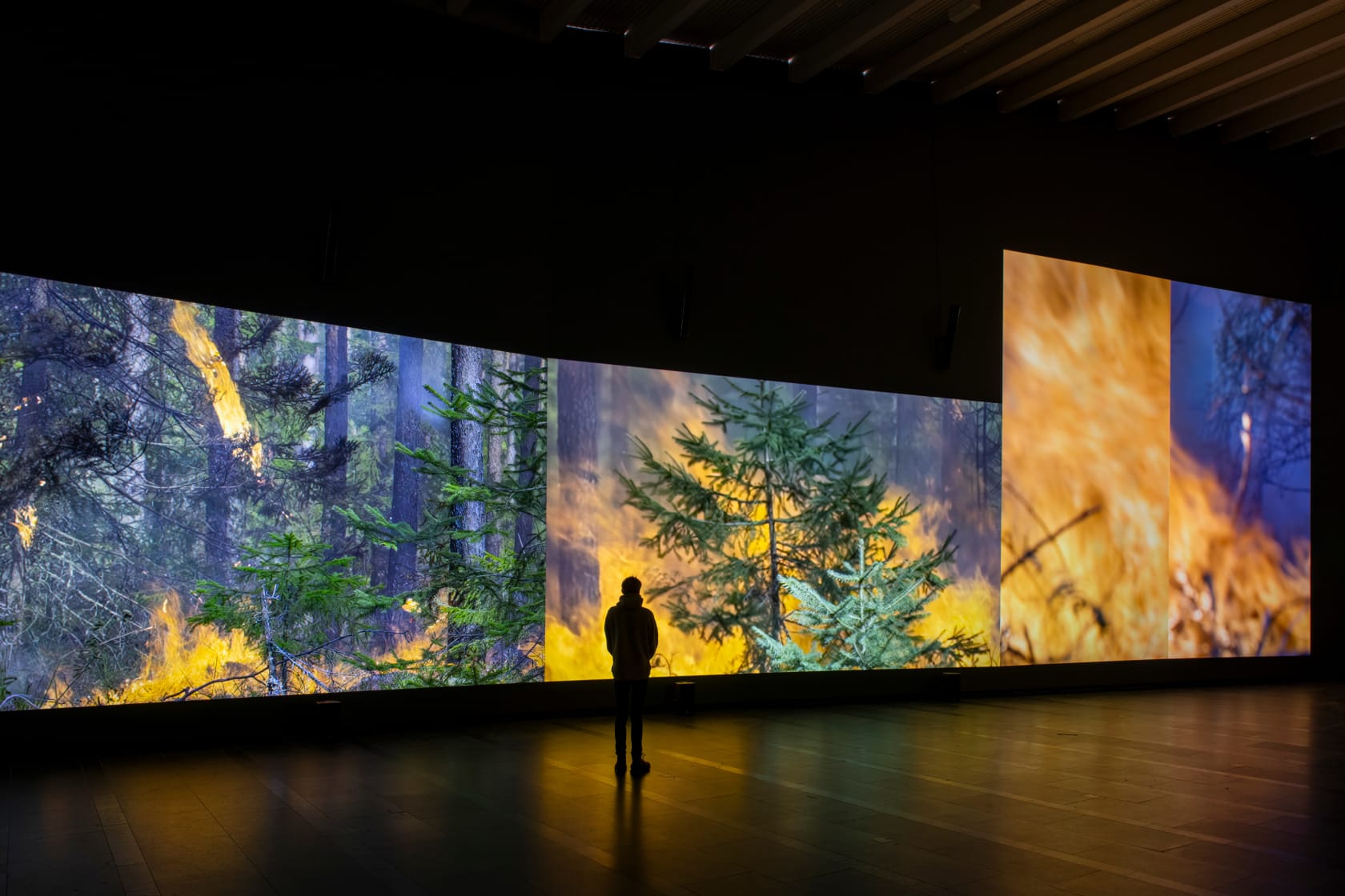 Eija-Liisa Ahtila, Reflections of a Forest - Heijastus Metsästä, 2025