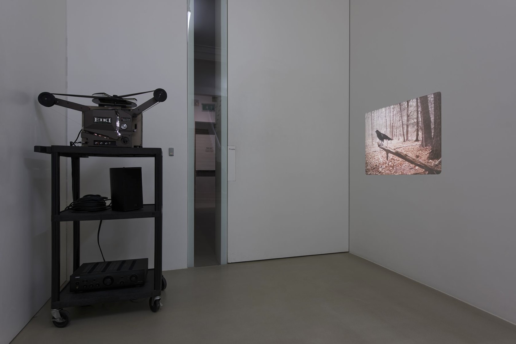 Jordan Wolfson Perfect Lover, 2007