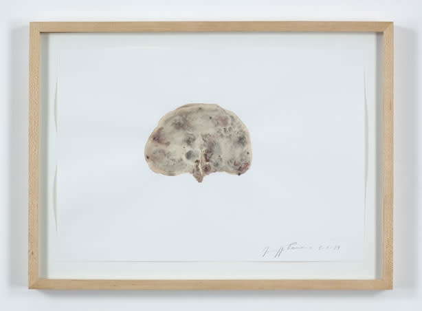 Giuseppe Penone Suture, 1989