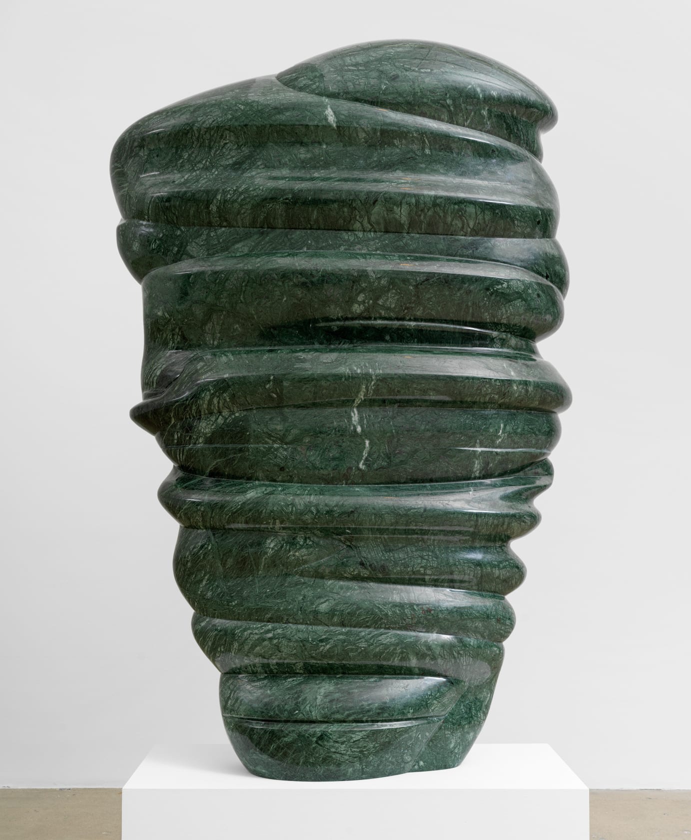 Tony Cragg Masks, 2021