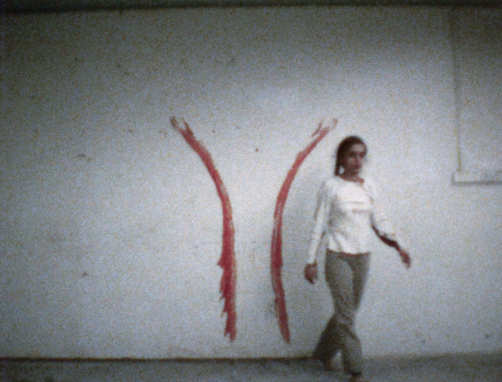 Ana Mendieta, Body Tracks, 1974
