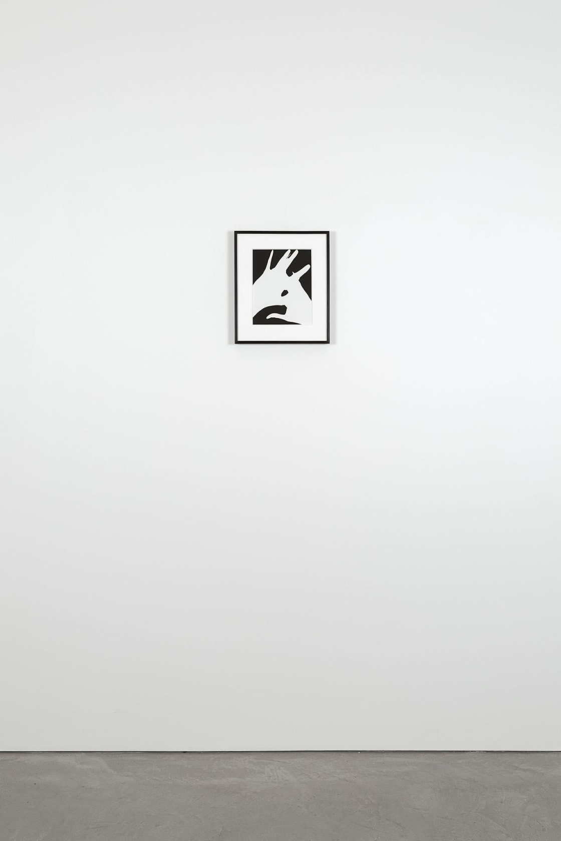 James Welling Hands 1
