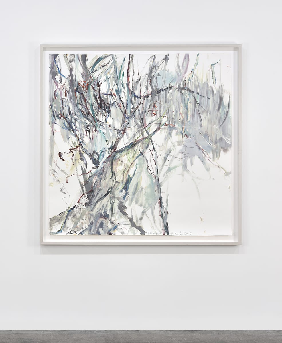 Sabine Moritz, Thicket I, 2017