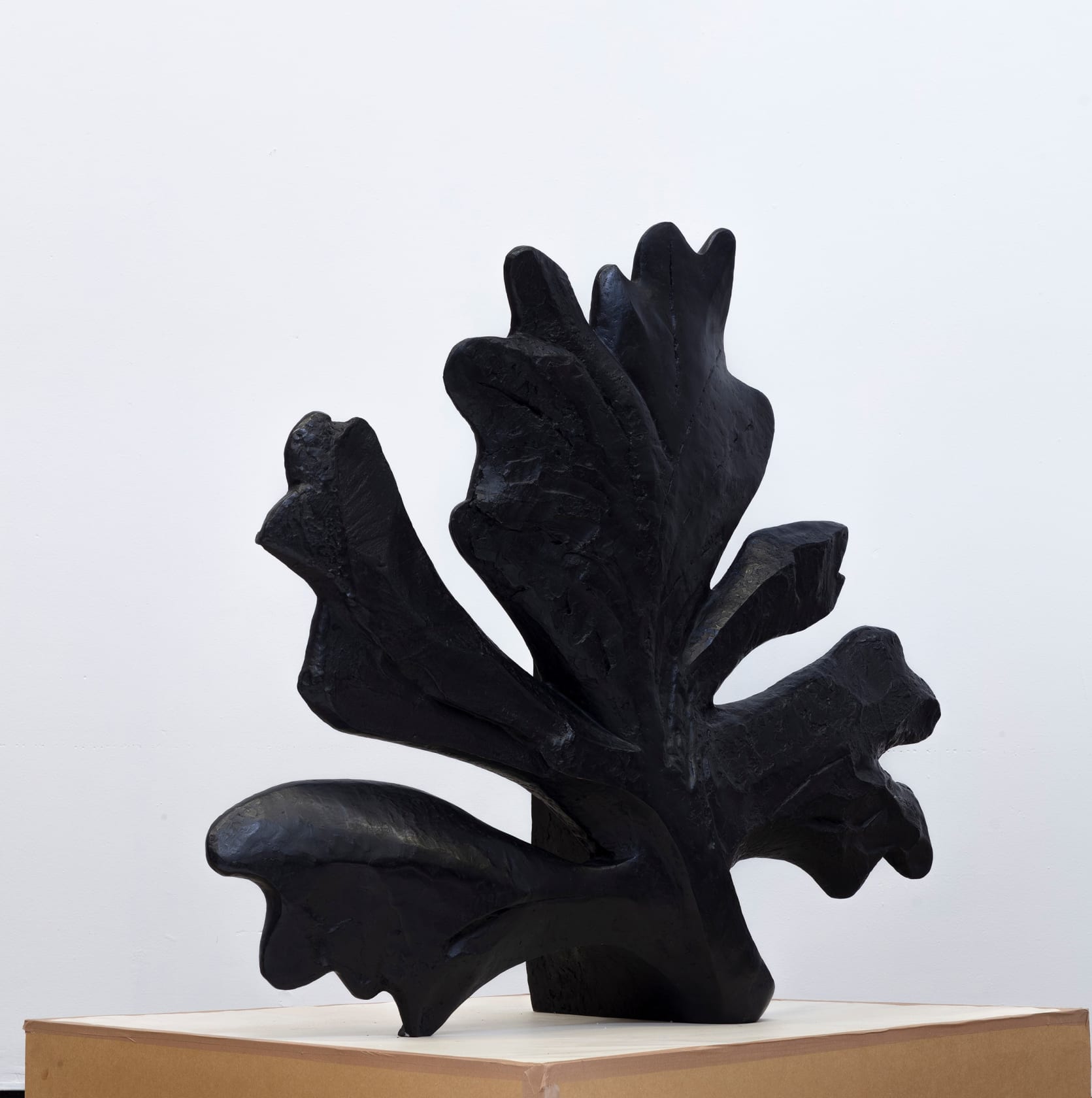 William Kentridge, Oak Leaf, 2021