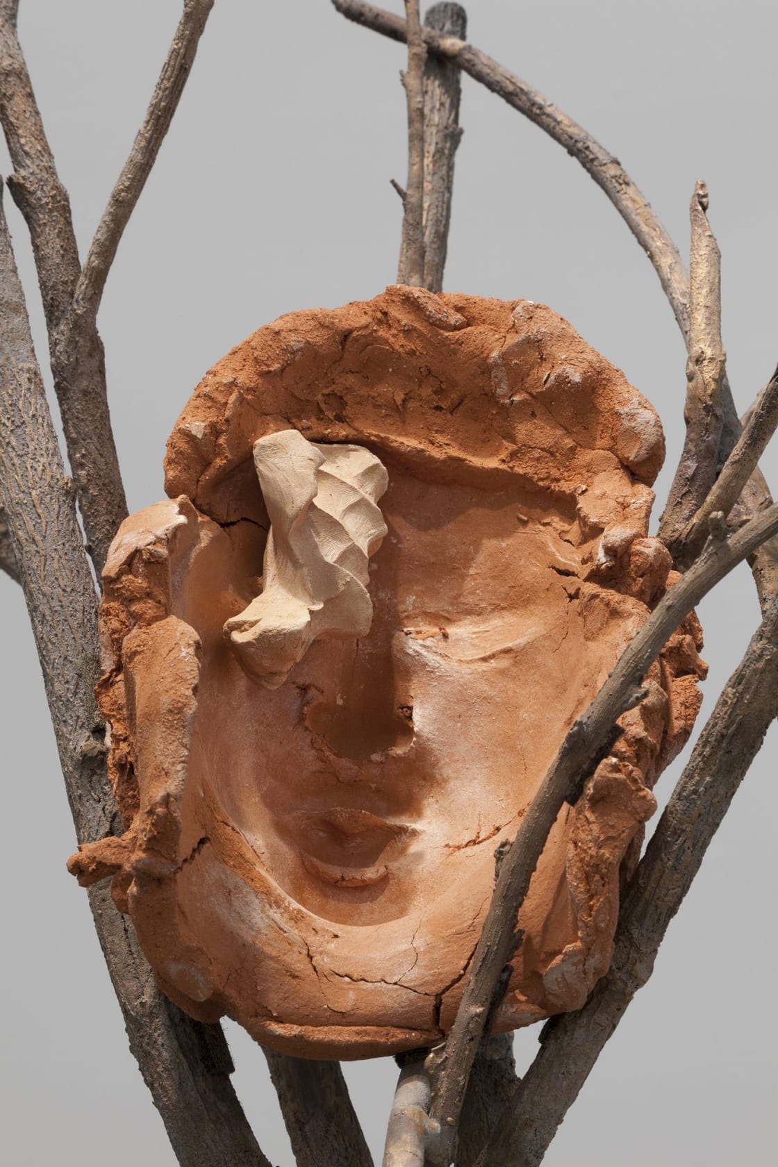 Giuseppe Penone Terra su terra - Volto (Earth on Earth - Face), 2014