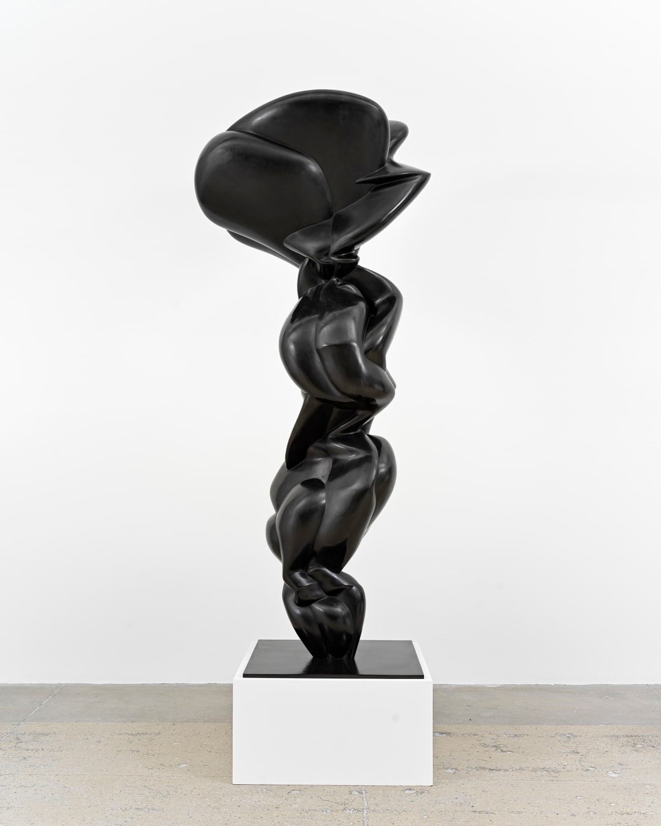 Tony Cragg, Justine, 2021