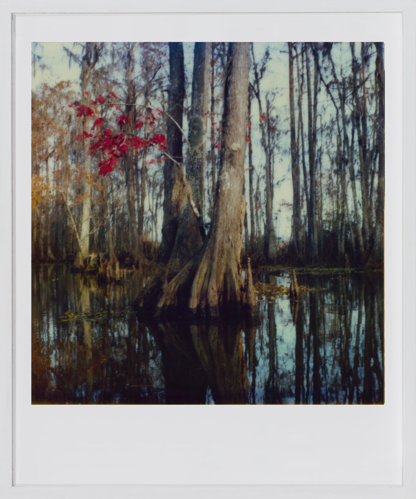 Robby Müller While shooting 'Down by law', New Orleans, 1985 Polaroid 600 inkjet print fine art on cardboard Sheet: 15...