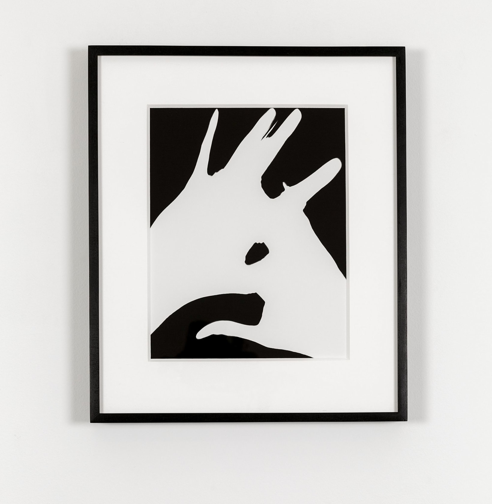 James Welling Hands 1