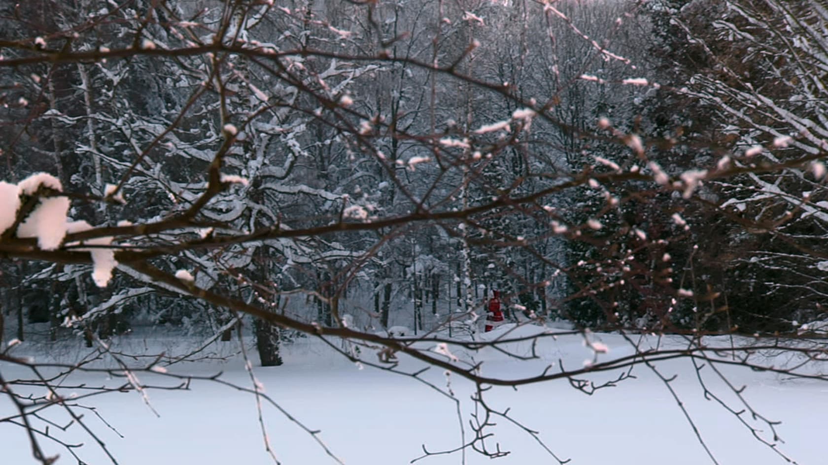 Eija-Liisa Ahtila, The Annunciation, 2010