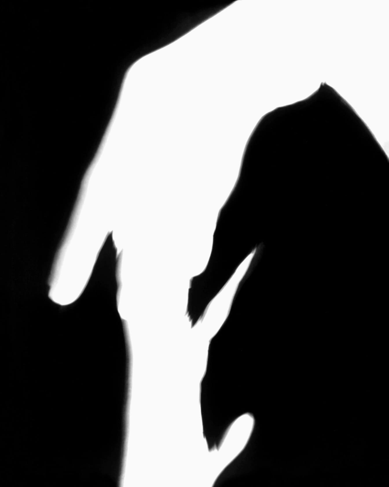 James Welling Hands 1