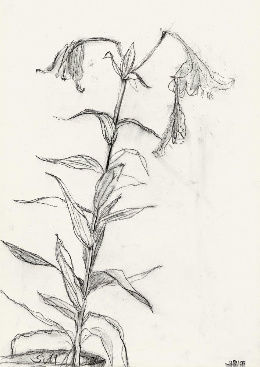 Sabine Moritz Lily 28, 2007