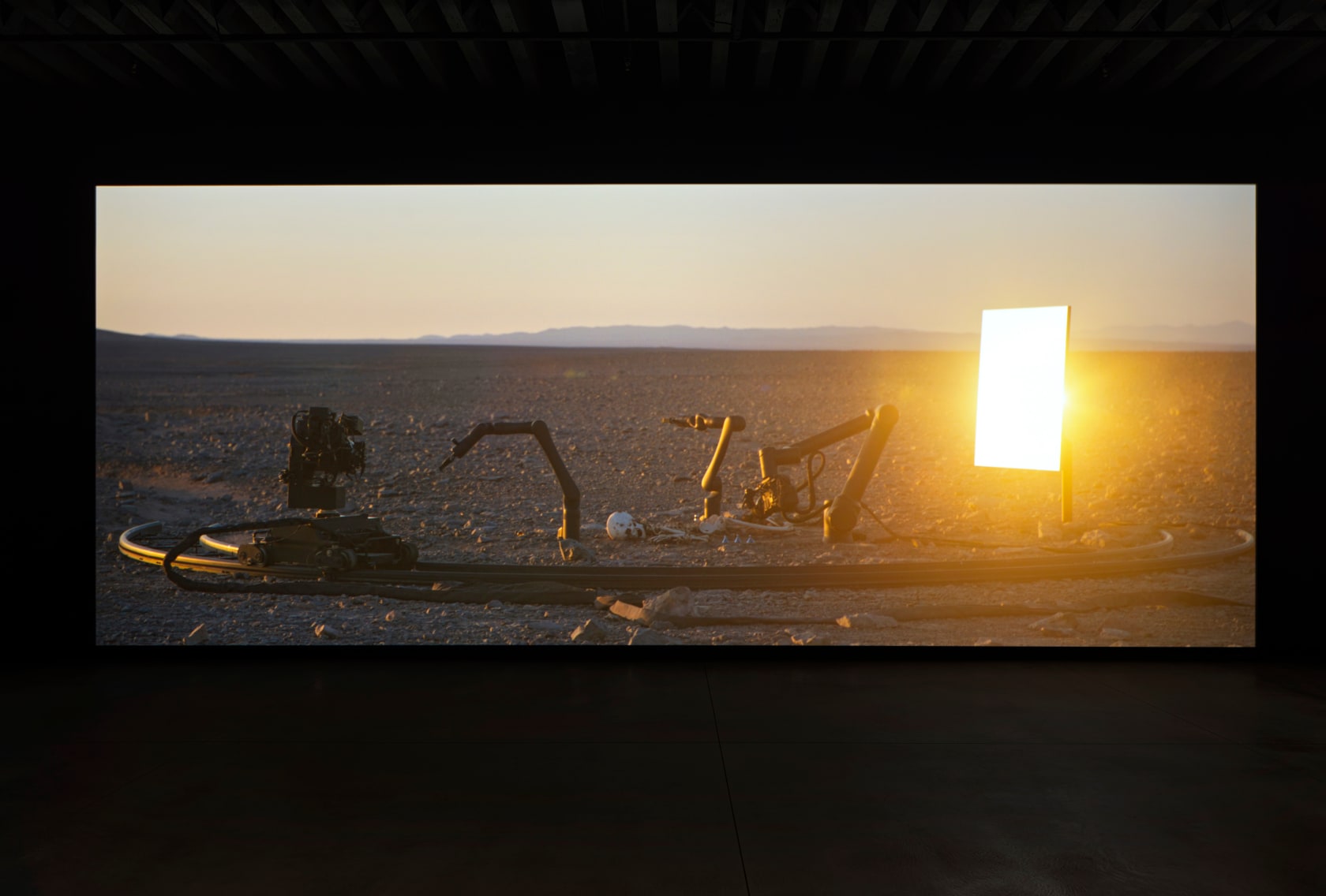 Pierre Huyghe, Camata, 2024