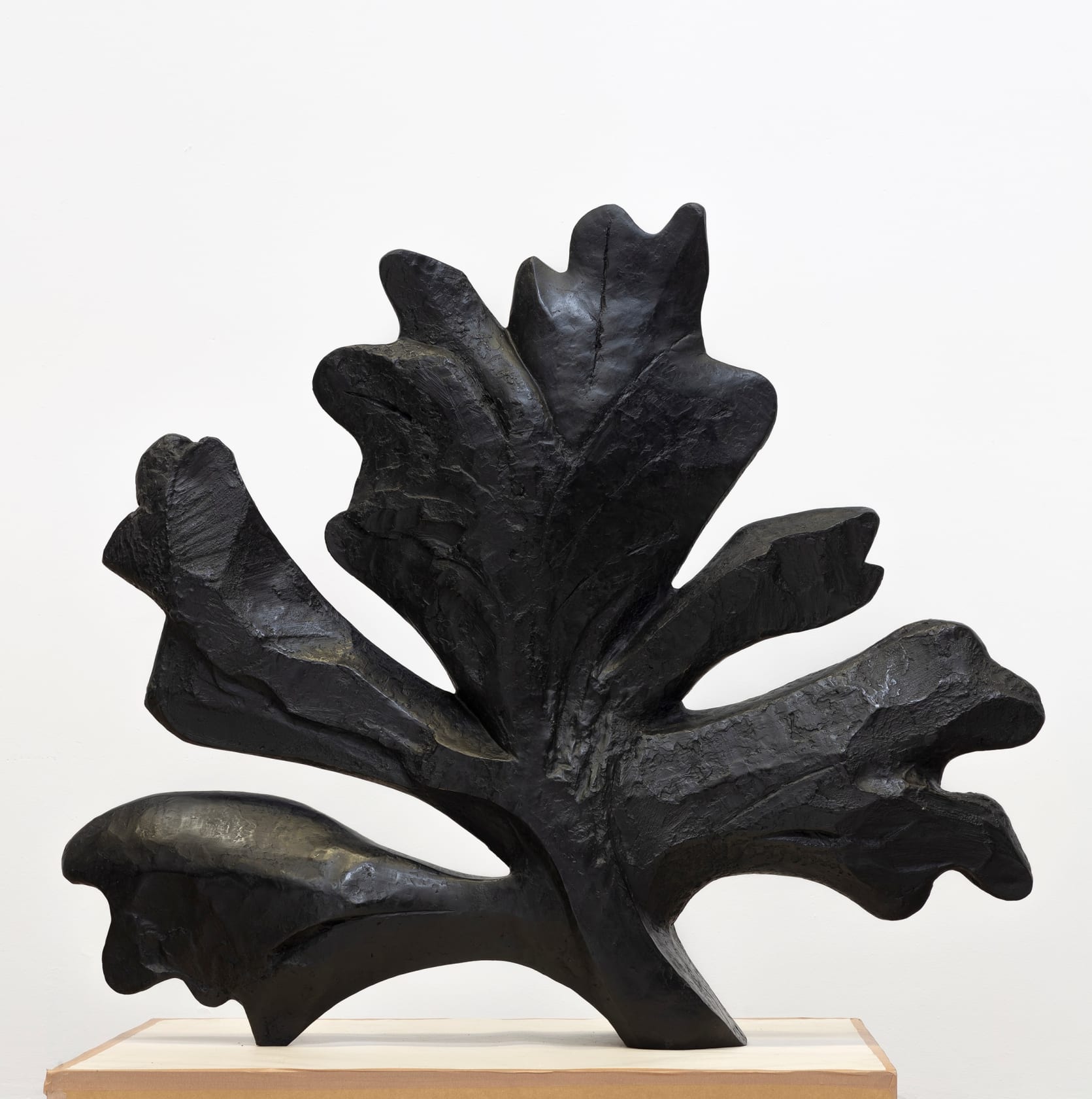 William Kentridge, Oak Leaf, 2021